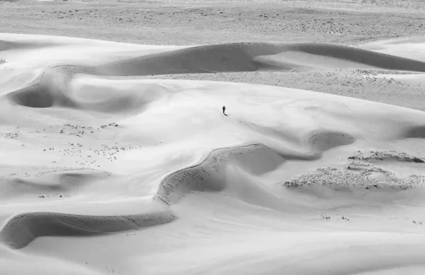 El desierto blanco de Luis López Carrasco. Libros recomendados. Literatura actual. El desierto blanco. Luis López Carrasco. Premio Herralde de Novela 2023.